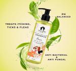 Tails & Bones anti fungal anti bacterial shampoo- h1