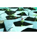 Bio Blooms Agro POLYBag UV Treated Poly Grow Bag, 24 x 24 x 40 cm (pack of 40)