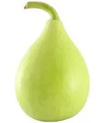 PARYAVARAAN Vegetable Seeds | Bottle Gourd Round Seeds | Bottle Gourd Round Vegetable Seeds | Round Bottle Gourd Seeds Hybrid F1 For Home Gardening pack of 40 seeds