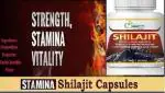 Prirupam SHILAJIT CAPSULE -30 (Pack of 1)