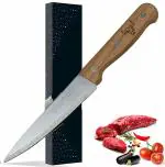 Shruthi Cuchillo Mango Plastico Professional 6