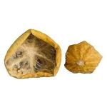 Xetomos Indrayan Phal citrullus colocynthis 250g Other names are Citrullus colocynthis, indarayan,hamekkae, indyaran, shahme-hinzal, Cucumis colocynthis, Colocynthis vulgaris, Cucurbitaceae, Gudamba