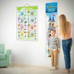 GOWOO Life Cycle Chart and PRINCESS HEIGHT CHART | Set of 2 charts 1 Educational + 1 Height Chart | Dive into the combo Life Cycle Chart and Princess Height Chart