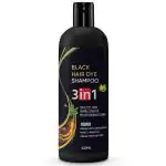 Fezora 3 in 1 Hair Dye Instant Black Hair Shampoo for Women & Men Organic Shampoo Herbal 100ml (100 ML)
