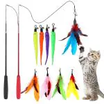 Qpets Cat Teaser Toy, Feather Toy for cat 11 Pcs Cat Toy Set with 2 Retractable Teaser Wand & 5 Feather Teaser Toy & 4 Worm Teaser, Interactive Cat Toys for Kitten to Play Chase Activity Exercise
