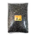 Parrots Wizard Sunflower Seeds For Birds - 900 g