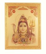 BM TRADERS Golden Foil Photo of Shiv Ji Ashirwad in Golden Frame Big (14 x 18 inch)