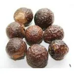Green India Sapindus Mukorossi/Indian Soapberry/Washnut/Soapnut/Sapindus Laurifolius/Reetha Tree Seeds_ 50 gm