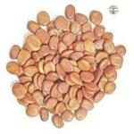 Green India Albizia lebbeck Shirisha, Siris Tree Seeds, flea tree seeds ,siris tree seeds_200 gm