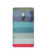 Casotec Pattern Arts 3D Printed Designer Hard Back Case Cover for OnePlus 2