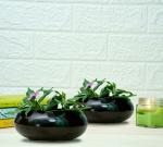 GOLD DUST Ellipse Cute Ceramic Pots for Indoor Plants Small, Succulent Pots Size 6 cm x 15 cm (Dark Blue, Pack of 2)