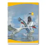 Youva Navneet| Soft Bound Notebook| 18 cm x 24 cm| Red & Blue (With Gap) | 172 Pages| Pack of 12