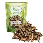 YUVIKA Dantimool - Danti Mool - Baliospermum Montanum (100 Grams)