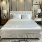 COOLBEDS Satin Elastic Fitted Sheet,(Double, Ivory), 2 Pillow Covers(203CMx152CM)