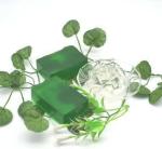 Shopiox Aloevera Soap Base, 6000 G