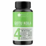 Bliss of Earth High Potency Brahmi Gotu Kola Extracts Tablets 500mg With Quick Release & Enhanced Bioavailability, Brain & Nervous System Support, 120 Tablets