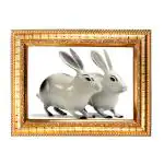 Hawai Feng Shui Vastu Remedies Wooden Framed Two White Rabbit Photo for Home Office Business Place SFDI213GLDFRM