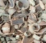 Nutrixia Kuda/Kutaj Chal Bark/Ester Tree/Indraju, Kurchi/Sakra, Vatsaka 50 Gm