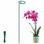 Bloomax 18 inch, Single Stem Metal Plant Support Stakes with Amaryllis Plant Support Rings Plants with Free Twist Tie's (Color - Teal Green / 18 inch, Pack of -3)