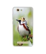 Casotec Bird Pattern Design Printed Silicon Soft TPU Back Case Cover for Gionee F103 Pro
