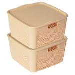 Kuber Industries Netted Design Unbreakable Multipurpose Square Shape Plastic Storage Baskets with lid Medium Pack of 2 (Beige)