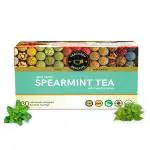TEACURRY Spearmint Leaf Tea (1 Month Pack, 30 Tea Bags) - Helps with Hormonal Imbalance, Facial.