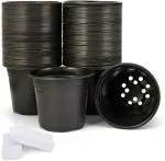 Audbhidhi Pots 4 Inches 20 Pieces Gamla Black Nursery Plastic Flower Planter for Plants & Home Gardening