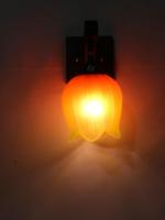 ONECYA ROYAL FANCY Round Wooden Wall Light/Wall Hanging Lamp for Bedroom, Pendant Light Indoor and Outdoor Electric (Pack of 1) Downcya010