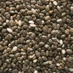 Tamransh Kesariwala Chia Seed, 500 Seeds