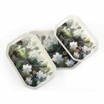 Superware Melamine Hexa Serving Tray Set Lotus Pond 1302/1303/1304 (Set of 3)