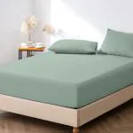 Pizuna Sea Foam Cotton, Sateen Weave Queen Size Fitted Bedsheets Queen Size, 63X76 Inch With 2 Pillow Cover