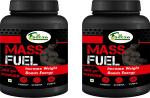Inlazer Mass Fuel Weight Gain Powder |Weight Gainer with Enzyme Blend, Protein Powder Weight Gainers/Mass Gainers (400 g, No Flavour)