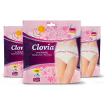 Clovia Heavy Flow Disposable Period Panties for Sanitary Protection L - XL (Pack of 3 - 6 Panties)