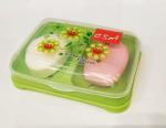 CSM 2 IN 1 Soap Case with Lid ( Green)