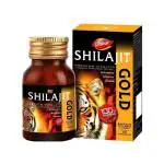 Dabur Shilajit Gold : 100 % Ayurvedic Capsules for Strength , Stamina and Power -20 capsules