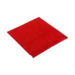 SHIVAAY Aenon Fashion Is My Passion Unisex Red Handkerchiefs