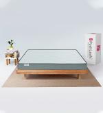 PoshLeafs Adaptive Copper Cooling Gel Mattress(78X48X6,Double)