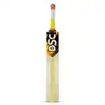 Dsc Men Wildfire Heat Kashmir Willow Tennis Cricket Bat Size
