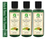 Ayurdaily Amla & Heena Tulsi Shampoo - Complete Hair Nourishment & Repair - 630ML