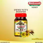 Baidyanath Jhansi Honey -500g