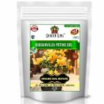 Sansar Agro Bougainvillea Potting Soil, Essential Organic Soil Mixture for Bougainvillea Plants, with All Required Nutrients and Active Micro-Organism (1800 gm)