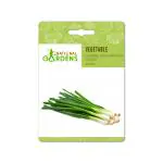 National Gardens Chinese Leek Oriental Garlic Seeds (20 Nos)