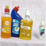 Sun Wash India House Cleaning Kit (Toilet Cleaner, Dishwash, Handwash) FREE Stain Remover