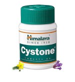 Himalaya Cystone Tablets - 60 Count