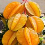 PLATONE Star Fruit Carambola Grafted Plant_camranga plant bsf pai(y33