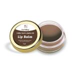 EarthRup Natural Lip Balm Coffee Seed And Jojoba Oil Lip Moisturizer for Dry and Chapped Lips 8 gm
