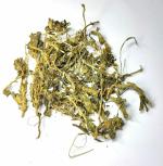 Nutrixia Mamejawa(Nai) Mame java (Katvinayi)-Mamejava- Kariyatu-Chota-kirayat 50 Gms