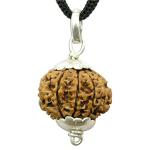 Feel Touch Mart 9 Mukhi Real Nepal Bead Rudraksha Nine Face by Lab Certified