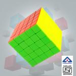 NHR Cube 5x5 Stickerless 3D High Speed Cube for Kids & Adults Speedy Brainstorming Puzzle (Multicolor)