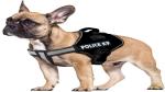 POLICE K9Dog K9 Police Harness Dog Vest Loop Straps and Handle and Adjustable (Camouflage, M- 22-28 Inch Girth)